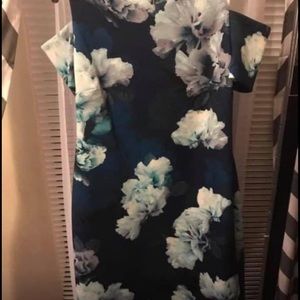 Nice Calvin Klein Ladies Dress - NWT